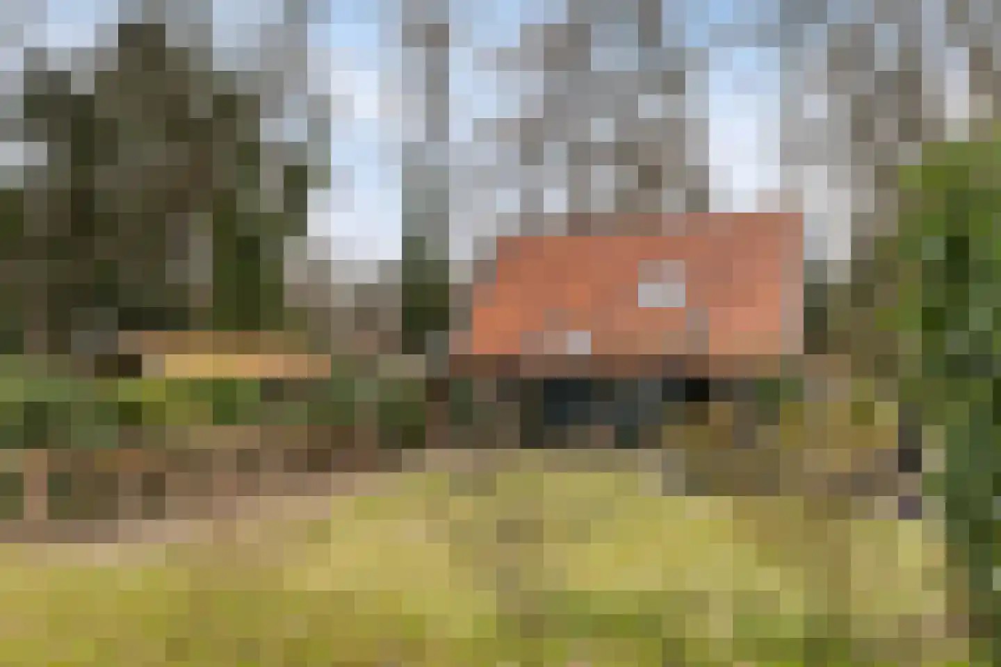 Sprengenkampweg 40 Vaassen thumbnail 27