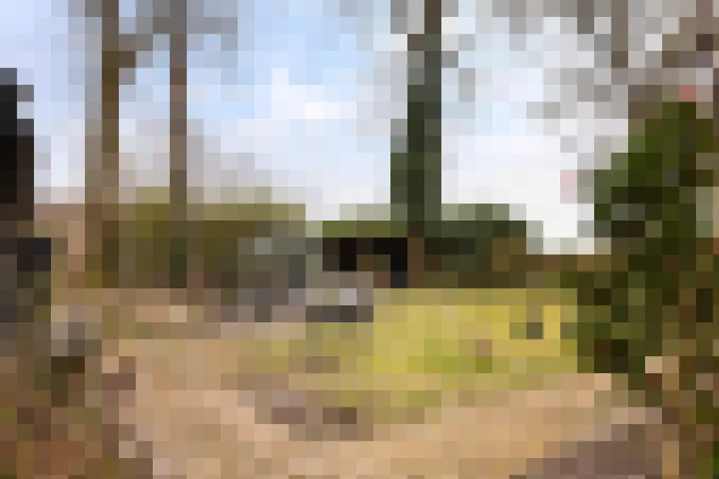 Sprengenkampweg 40 Vaassen thumbnail 30
