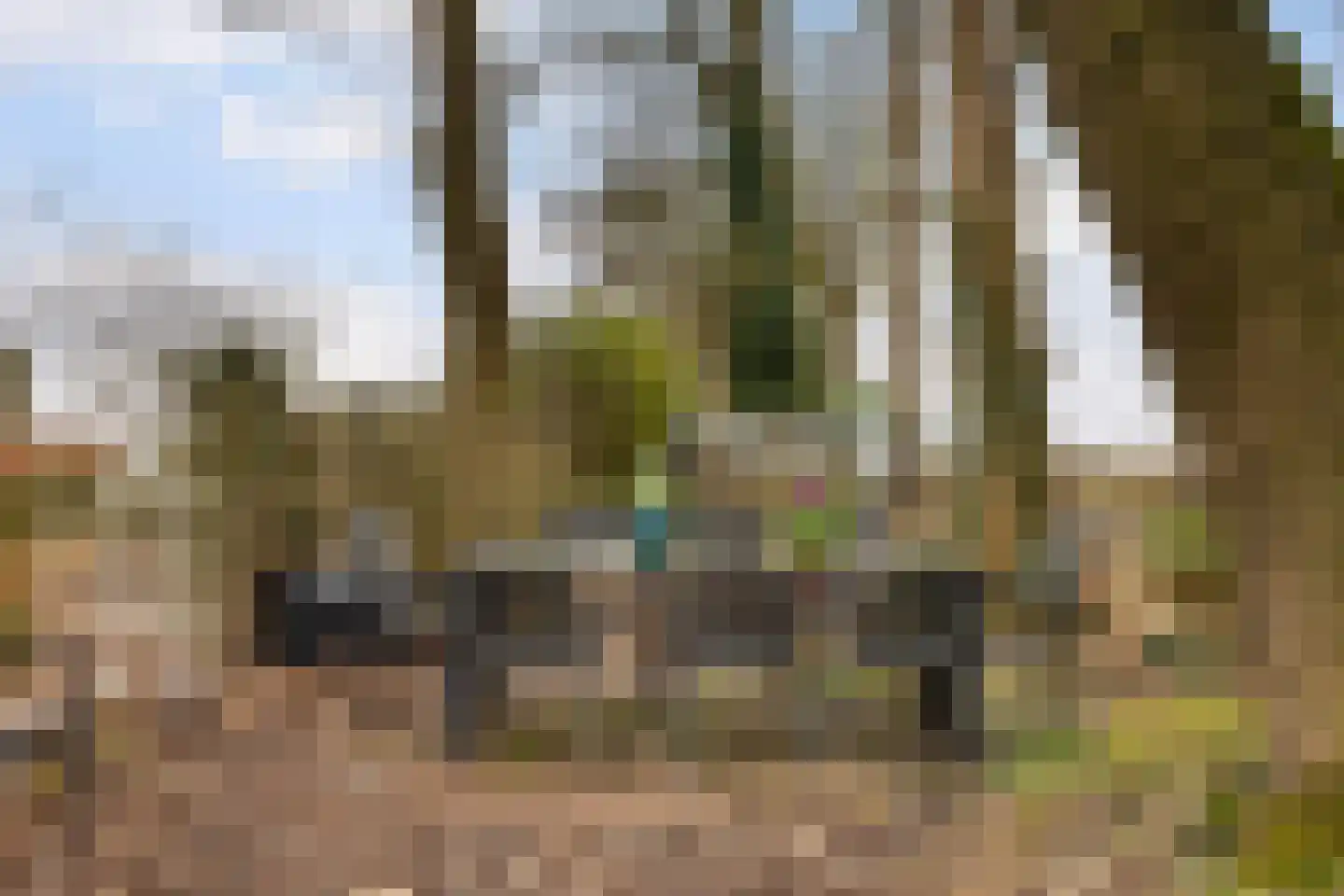 Sprengenkampweg 40 Vaassen thumbnail 33