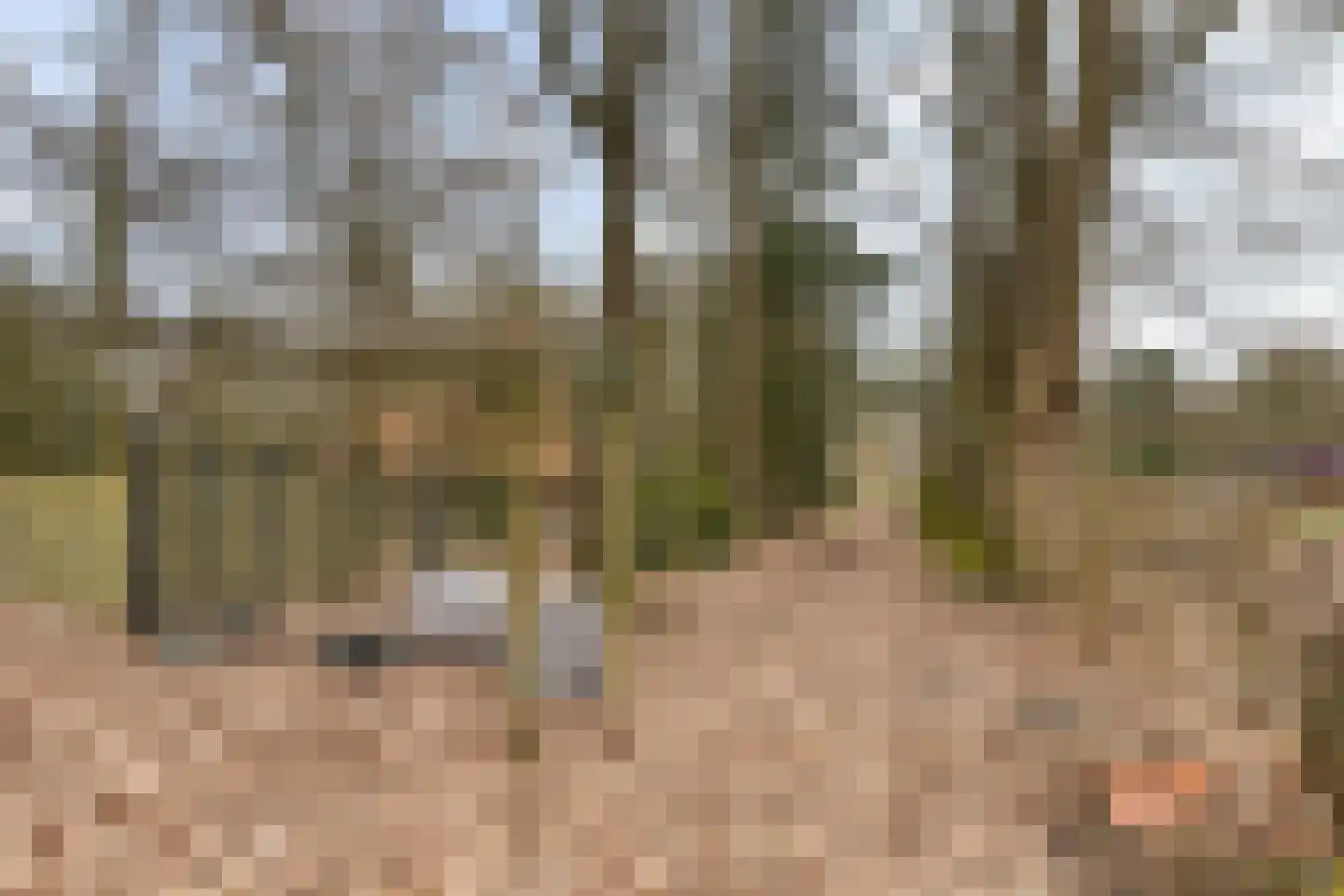Sprengenkampweg 40 Vaassen thumbnail 38