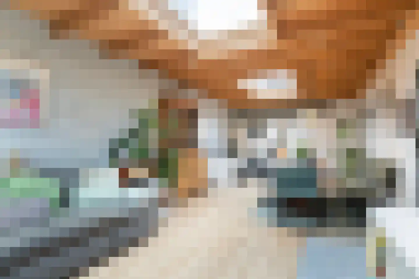 Sprengenkampweg 40 Vaassen thumbnail 8