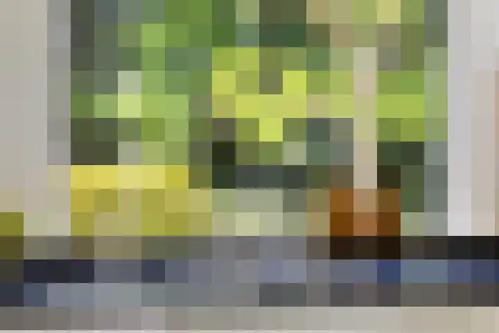 Sprengenparklaan 4 Apeldoorn thumbnail 14