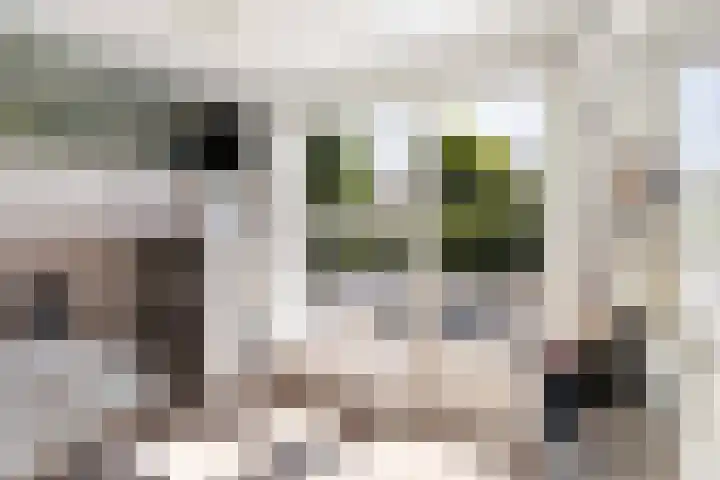 Sprengenparklaan 4 Apeldoorn thumbnail 17