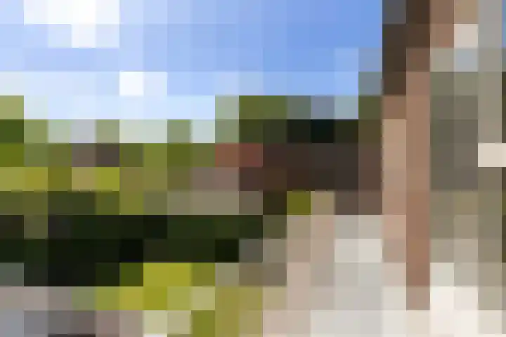 Sprengenparklaan 4 Apeldoorn thumbnail 18