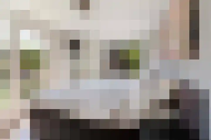 Sprengenparklaan 4 Apeldoorn thumbnail 19