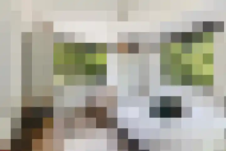 Sprengenparklaan 4 Apeldoorn thumbnail 21
