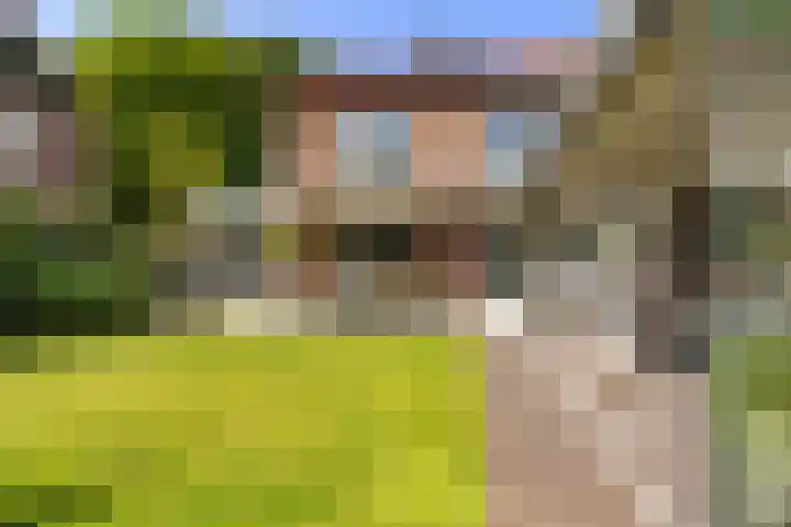 Sprengenparklaan 4 Apeldoorn thumbnail 27