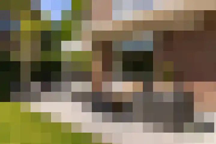 Sprengenparklaan 4 Apeldoorn thumbnail 28