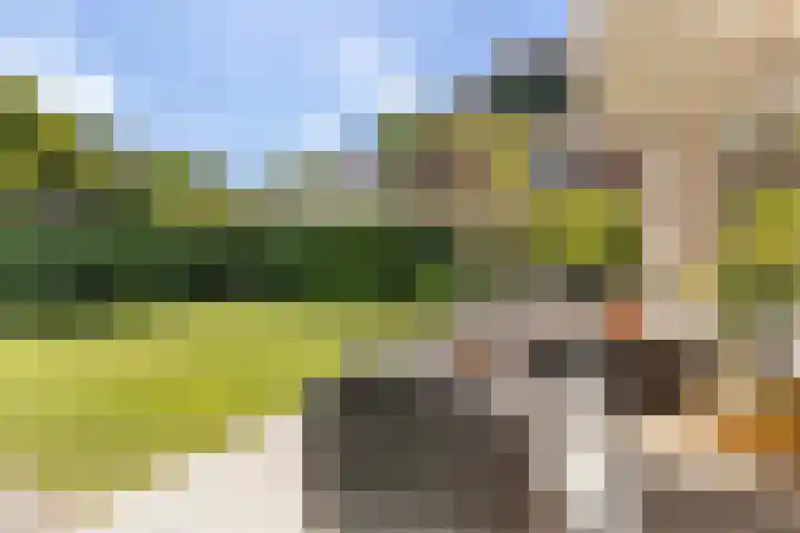 Sprengenparklaan 4 Apeldoorn thumbnail 30