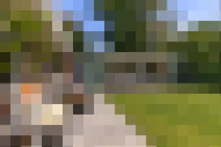 Sprengenparklaan 4 Apeldoorn thumbnail 31
