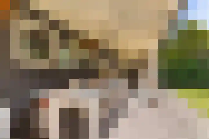 Sprengenparklaan 4 Apeldoorn thumbnail 33