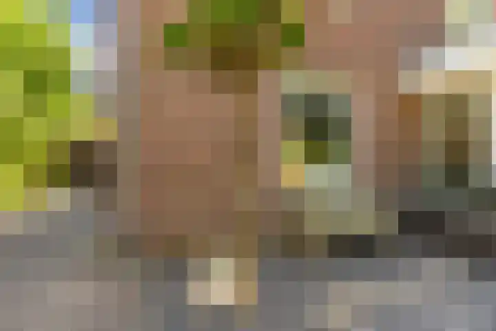 Sprengenparklaan 4 Apeldoorn thumbnail 40
