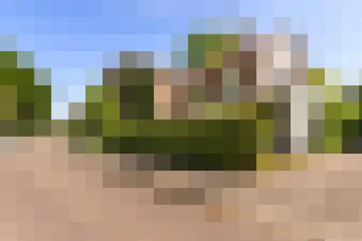 Sprengenparklaan 4 Apeldoorn thumbnail 42
