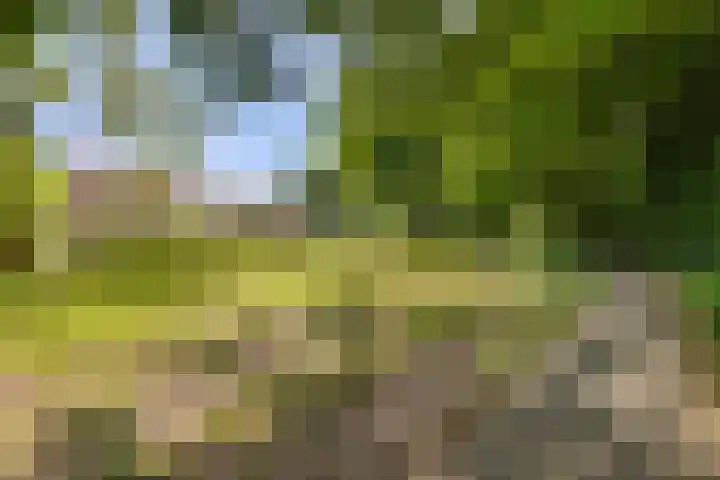 Sprengenparklaan 4 Apeldoorn thumbnail 43