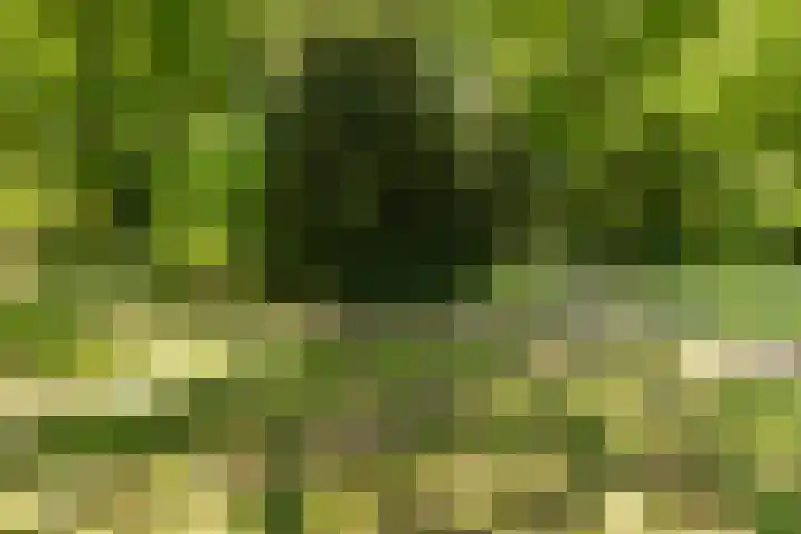 Sprengenparklaan 4 Apeldoorn thumbnail 44