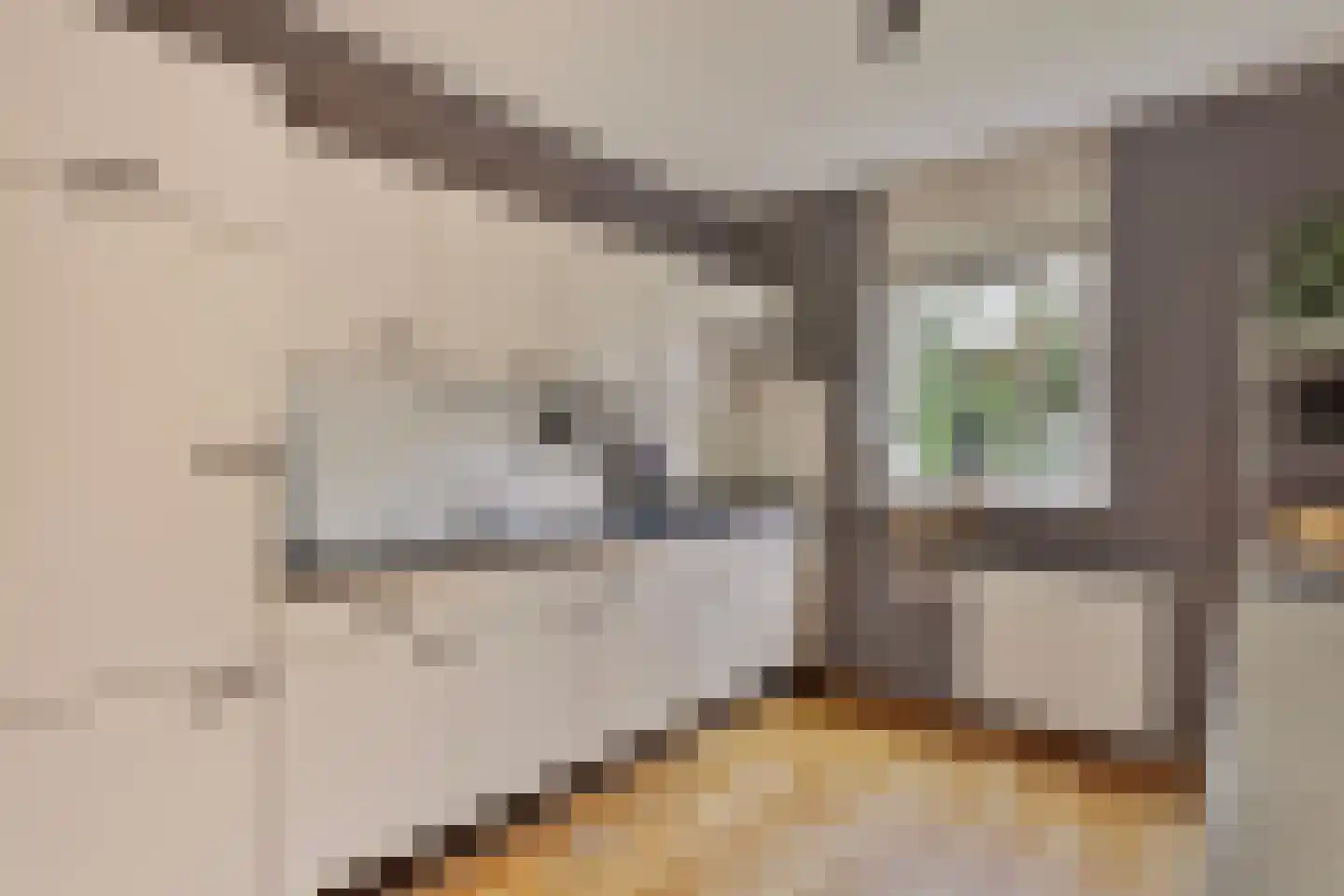 Sprengenweg 107 Epe thumbnail 13