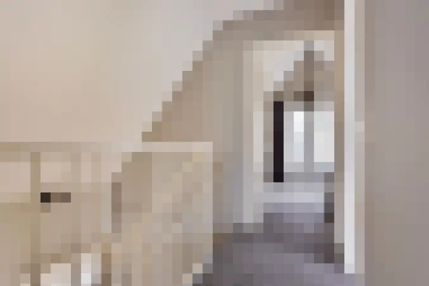 Sprengenweg 107 Epe thumbnail 17