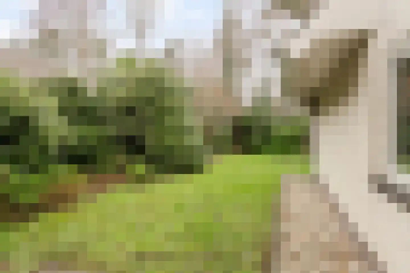 Sprengenweg 107 Epe thumbnail 28