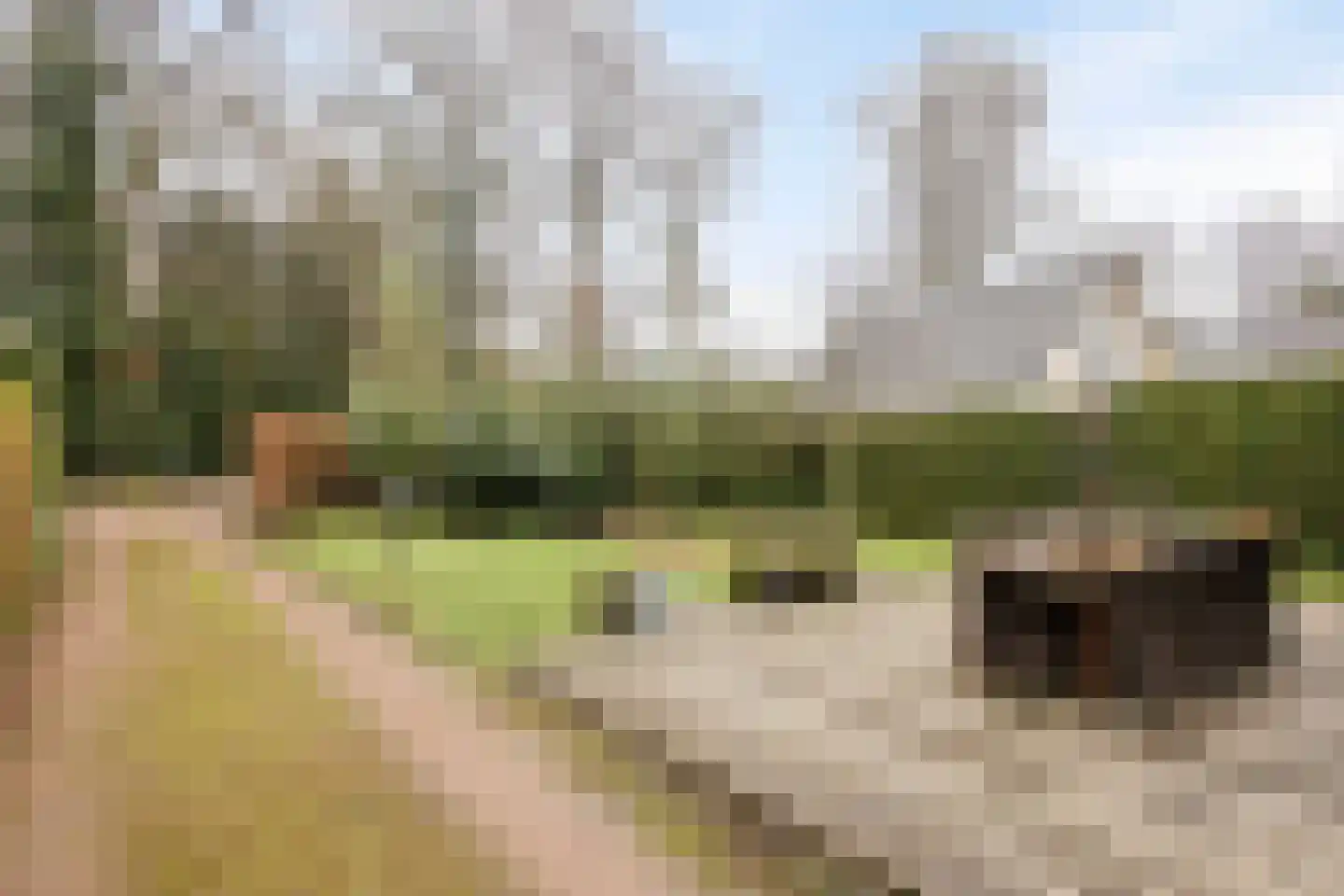 Sprengenweg 107 Epe thumbnail 29