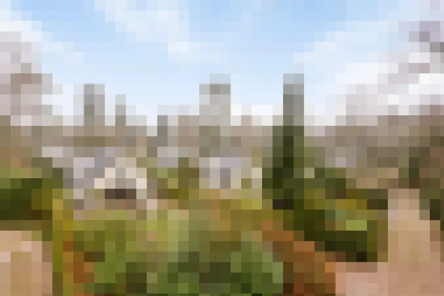 Sprengenweg 107 Epe thumbnail 31