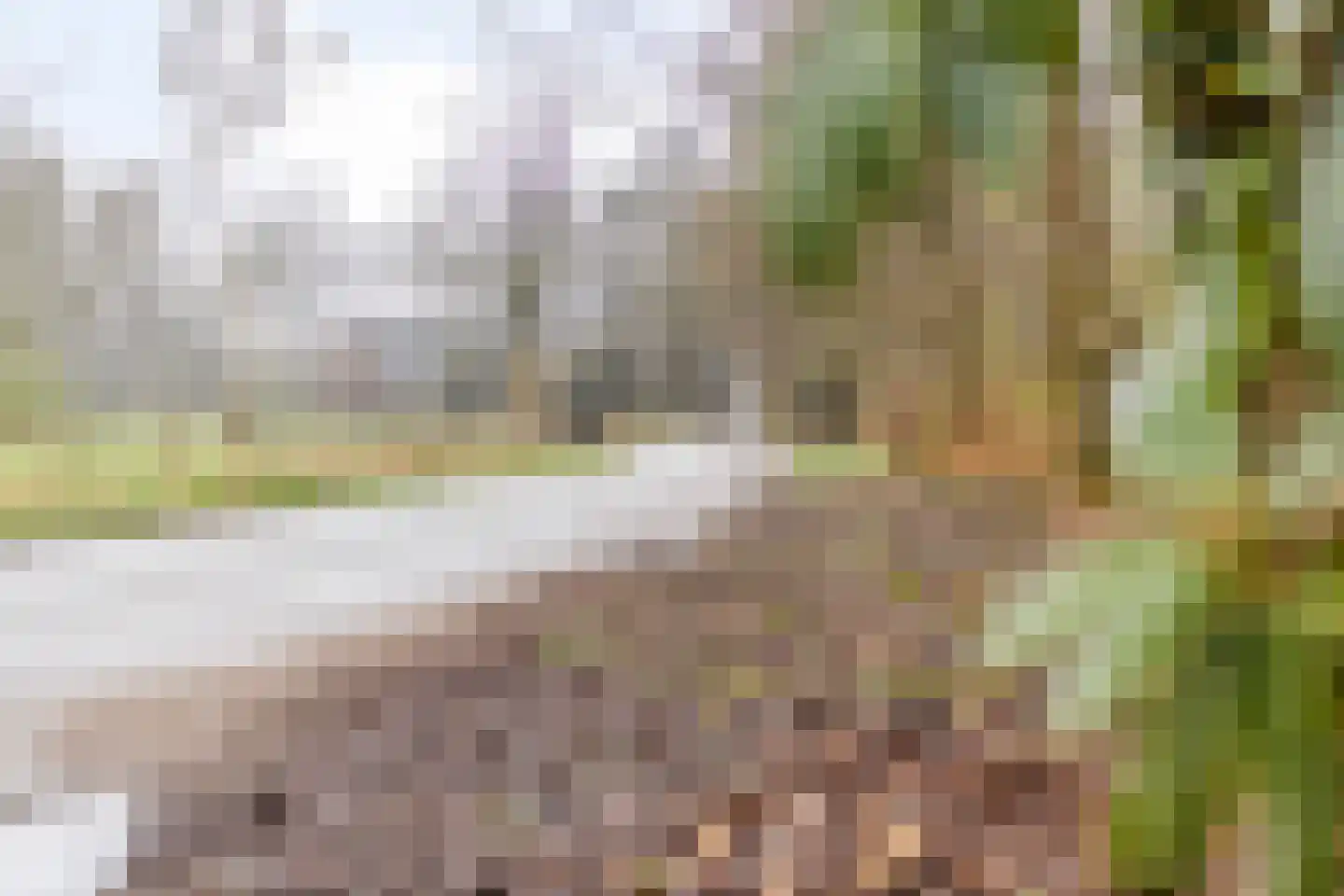 Sprengenweg 107 Epe thumbnail 32