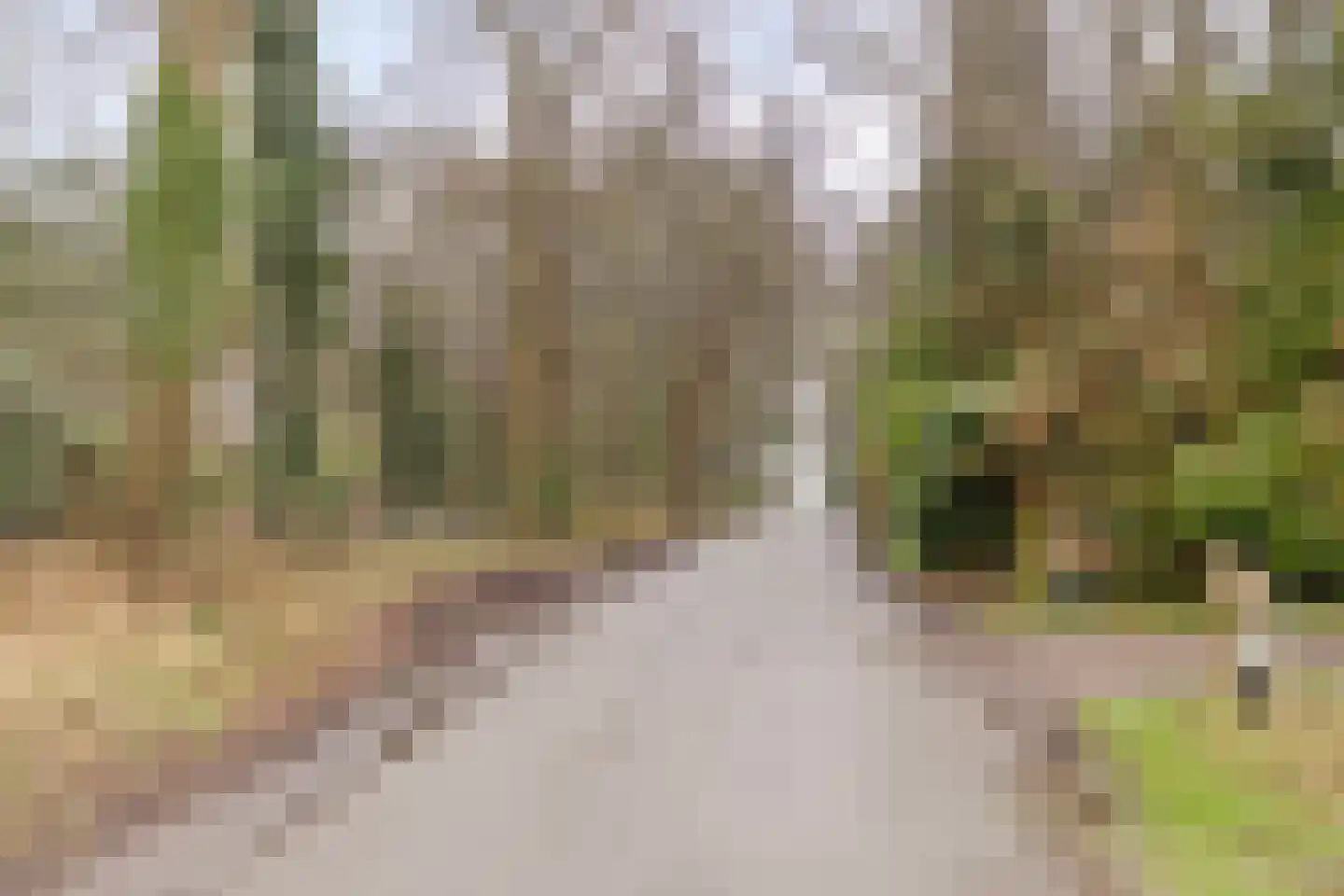 Sprengenweg 107 Epe thumbnail 33
