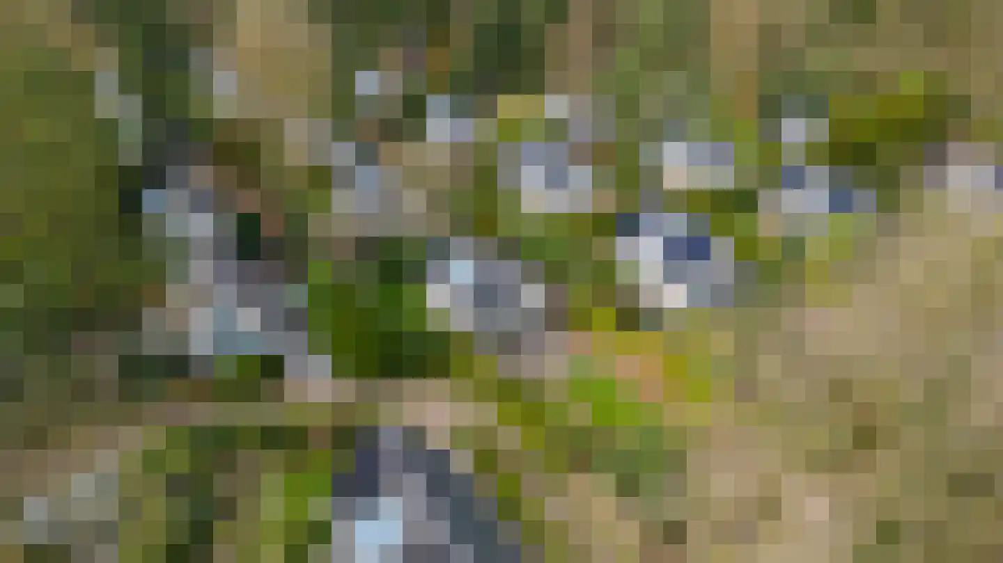 Sprengenweg 107 Epe thumbnail 34