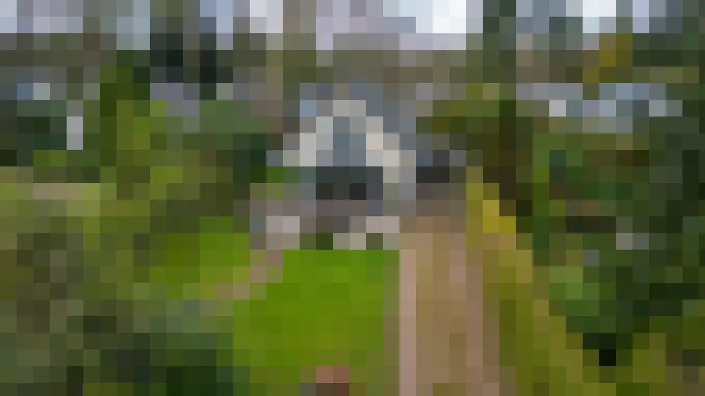 Sprengenweg 107 Epe thumbnail 4