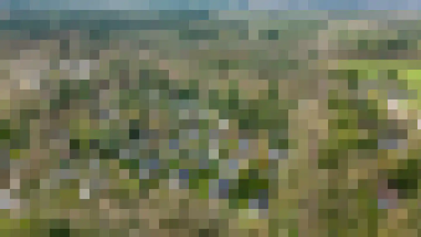 Sprengenweg 107 Epe thumbnail 5