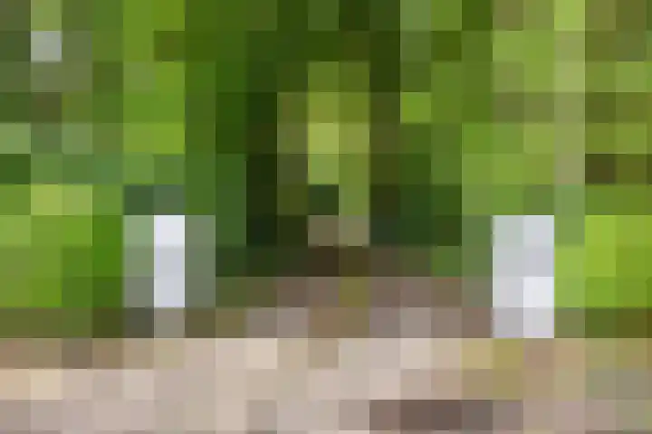 Sprengenweg 11 Heerde thumbnail 4