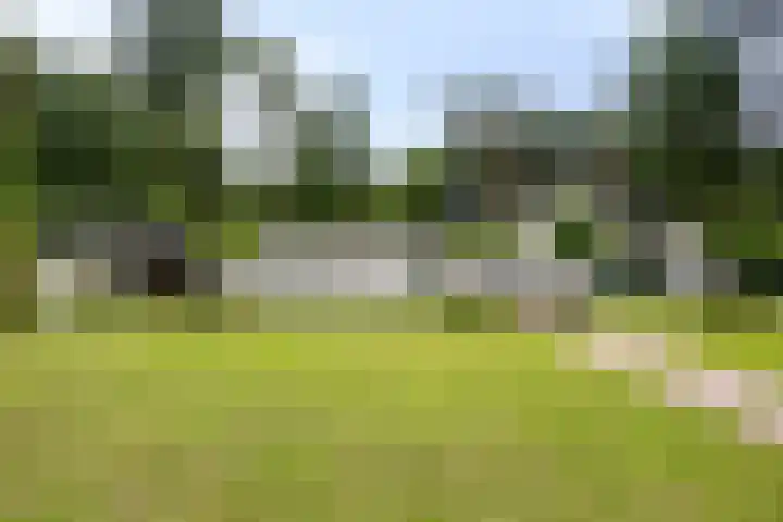 Sprengenweg 11 Heerde thumbnail 5