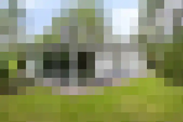 Sprengenweg 11 Heerde thumbnail 53