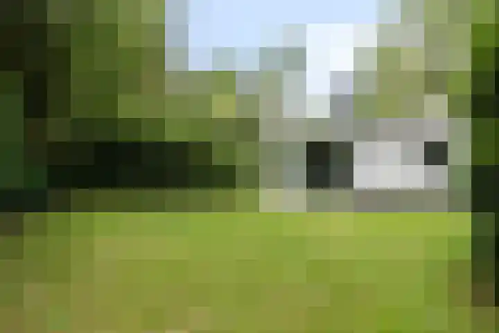 Sprengenweg 11 Heerde thumbnail 54