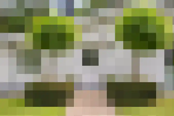 Sprengenweg 11 Heerde thumbnail 6