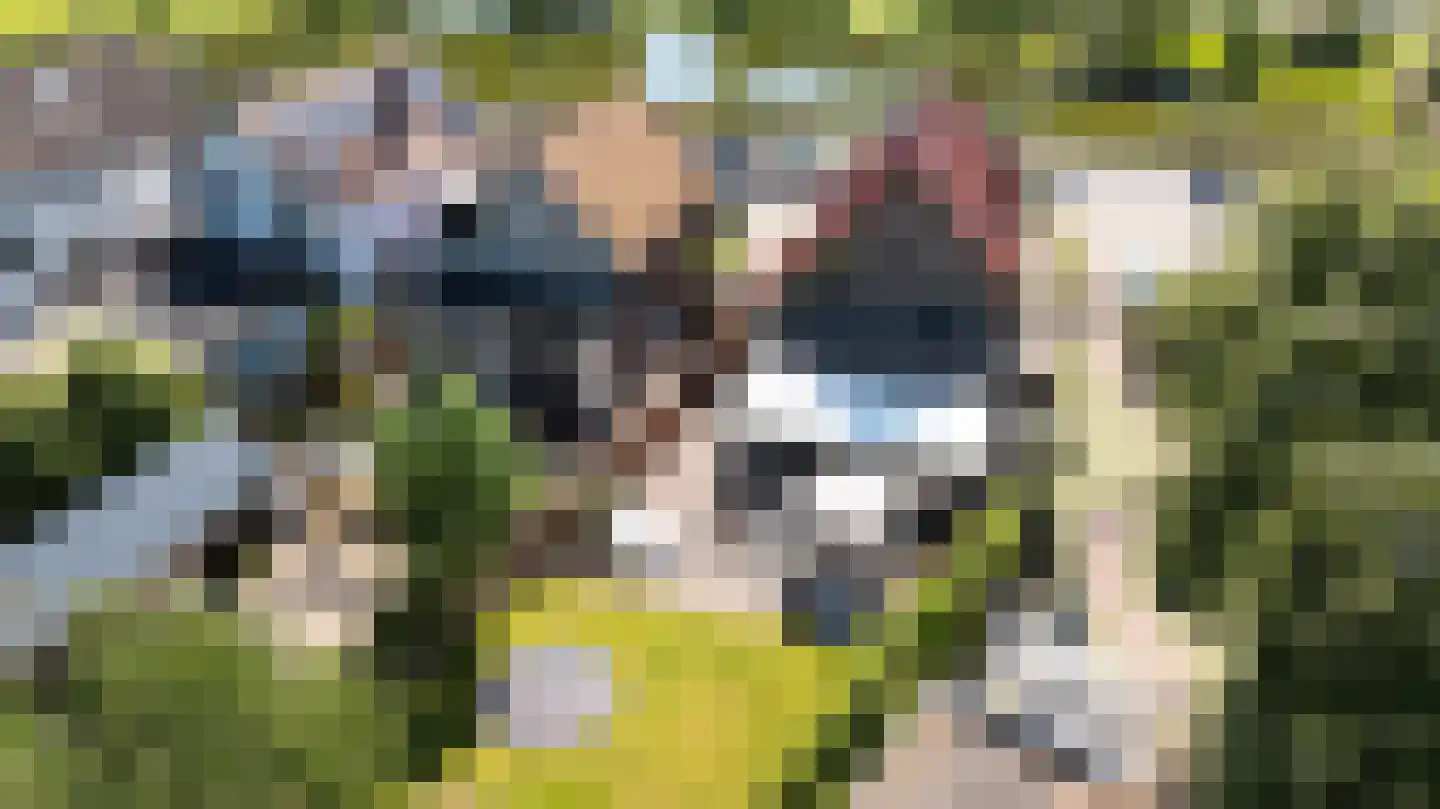 Sprengenweg 124 Apeldoorn thumbnail 43