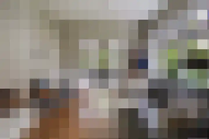 Sprengenweg 128 Apeldoorn thumbnail 9