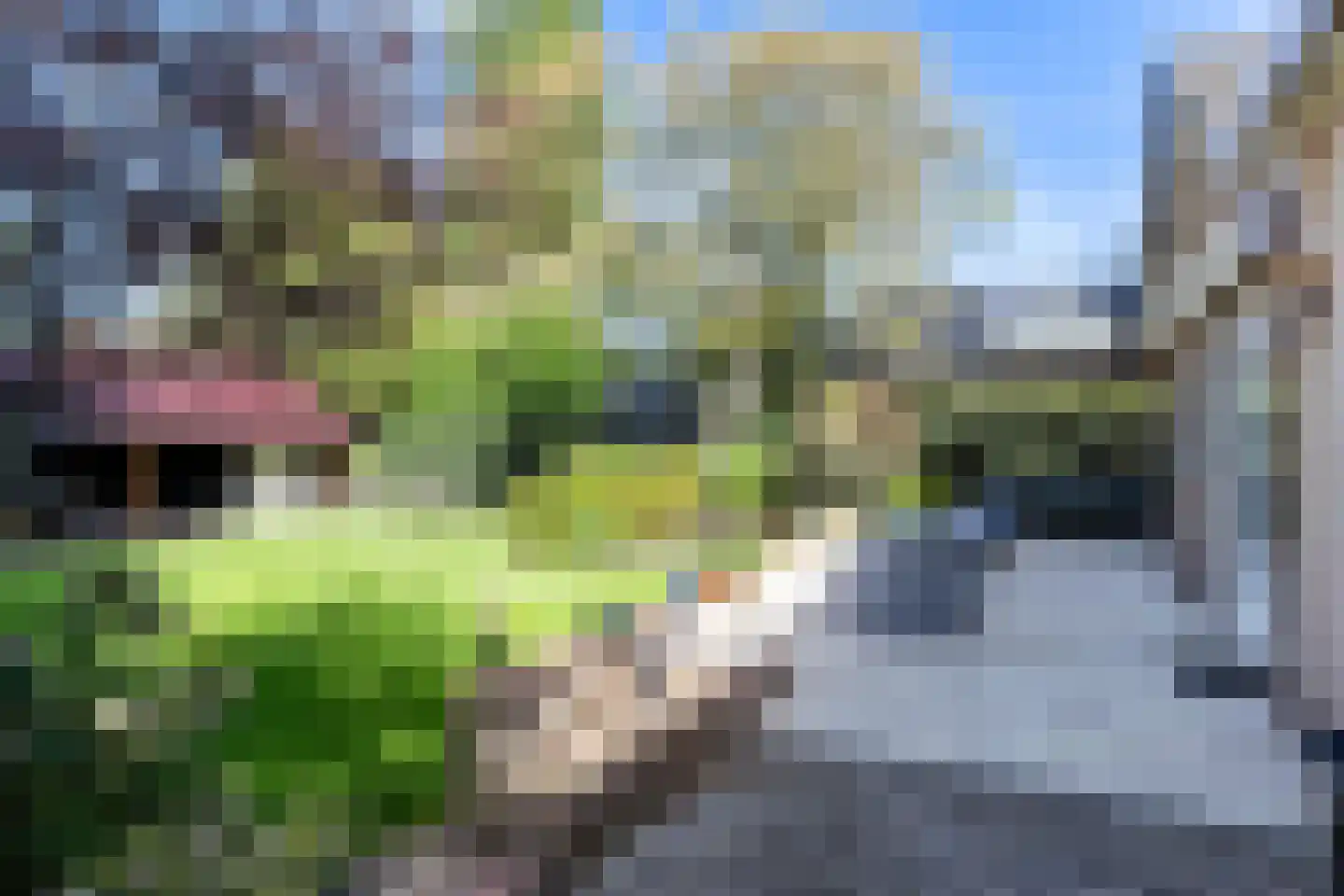 Sprengenweg 138 Apeldoorn thumbnail 7