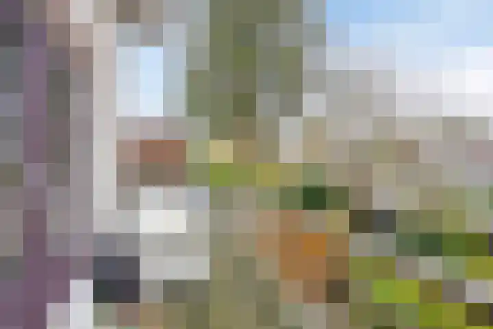 Sprengenweg 20 B Apeldoorn thumbnail 27