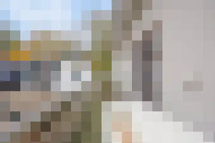 Sprengenweg 20 B Apeldoorn thumbnail 28