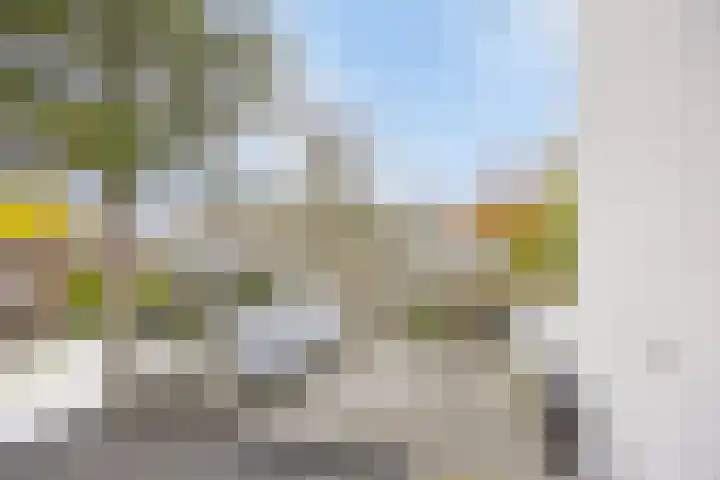 Sprengenweg 20 B Apeldoorn thumbnail 30