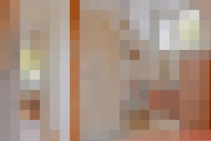 Sprengenweg 20 B Apeldoorn thumbnail 36