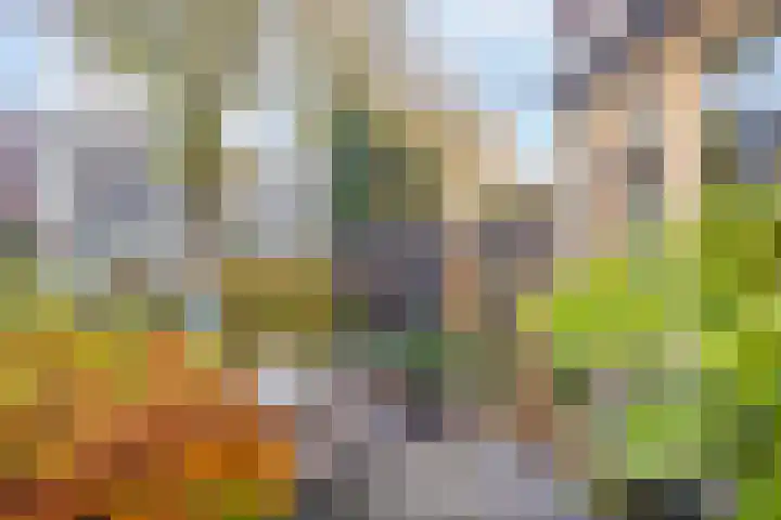 Sprengenweg 20 B Apeldoorn thumbnail 47