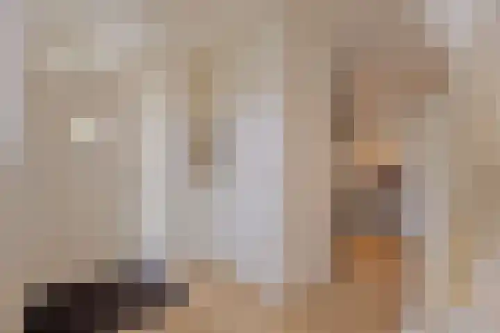 Sprengenweg 20 B Apeldoorn thumbnail 6