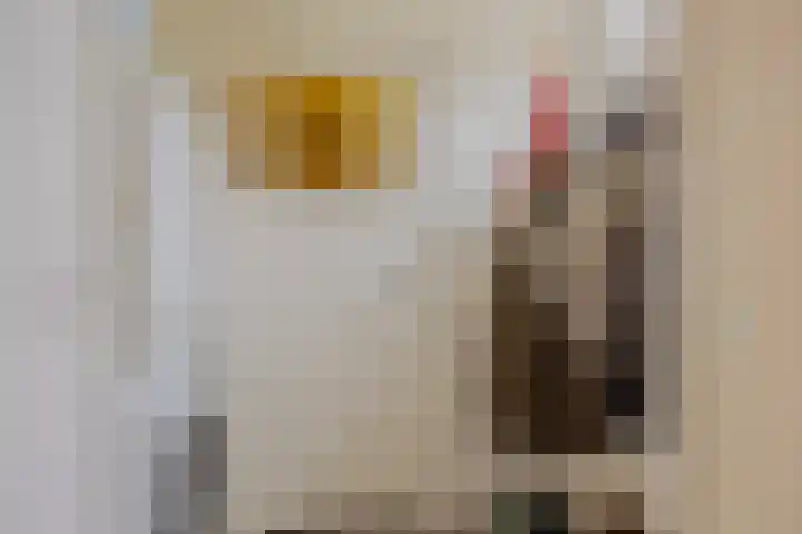Sprengenweg 20 B Apeldoorn thumbnail 7
