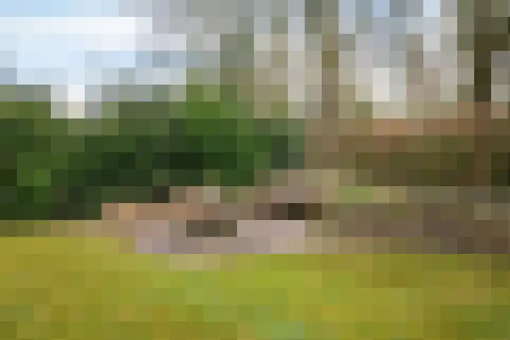 Sprengenweg 34 Heerde thumbnail 36