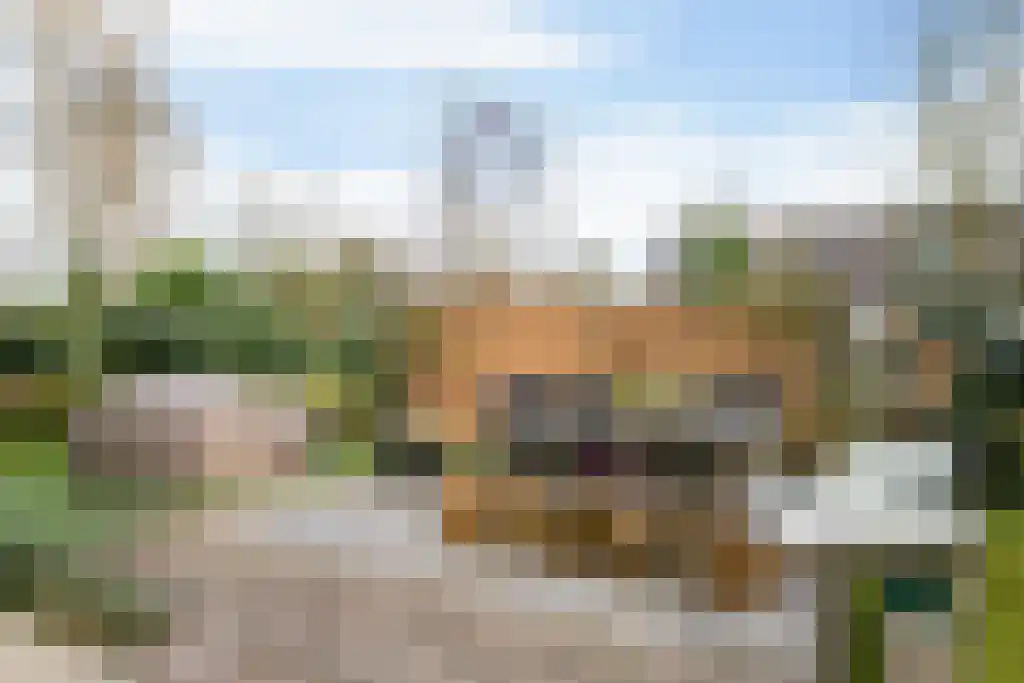 Sprengenweg 34 Heerde thumbnail 37