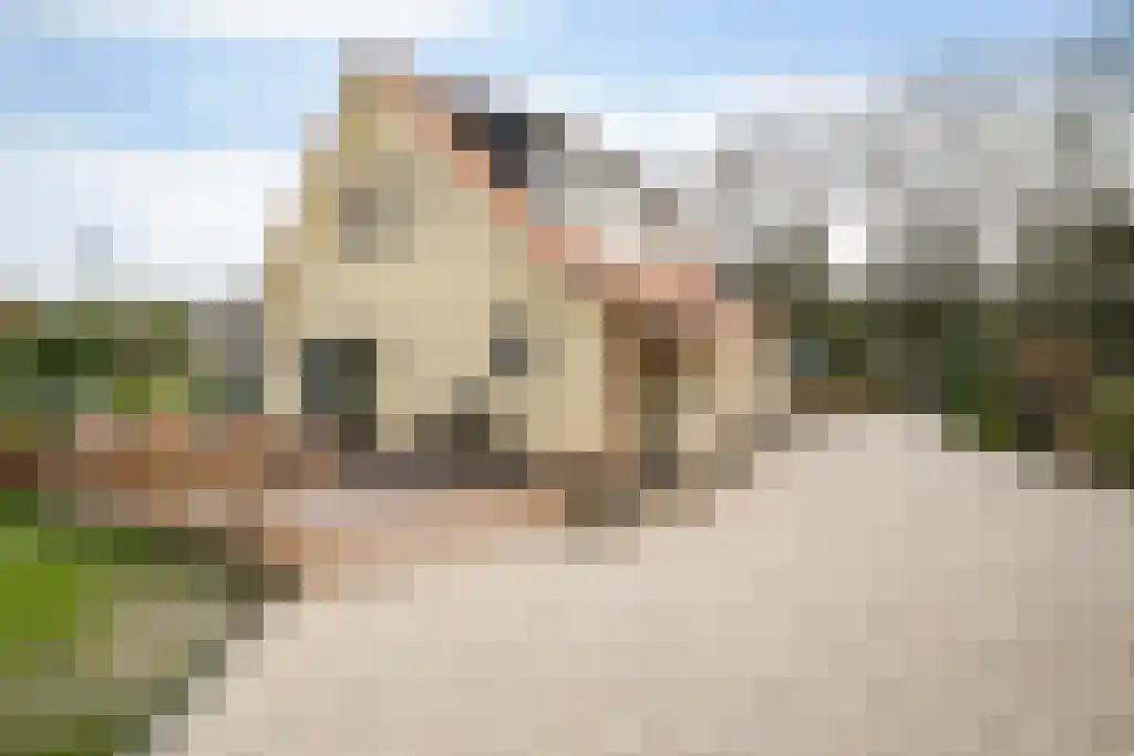 Sprengenweg 34 Heerde thumbnail 38