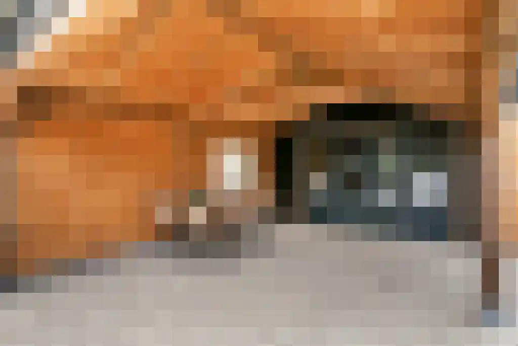 Sprengenweg 34 Heerde thumbnail 42