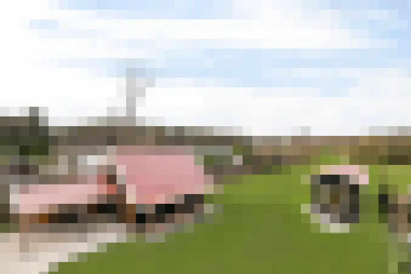 Sprengenweg 34 Heerde thumbnail 43
