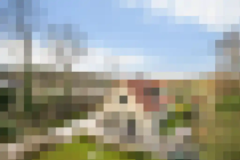 Sprengenweg 34 Heerde thumbnail 50